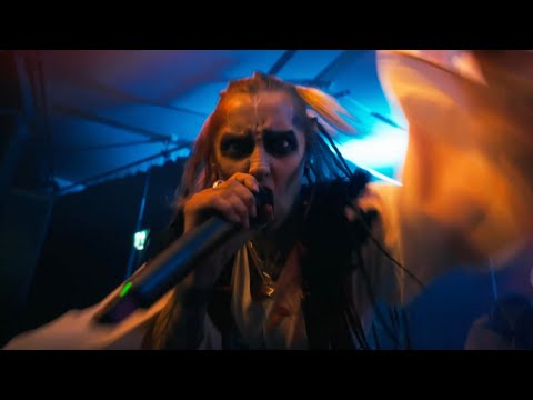 LN - Shield Wall (Official Music Video)