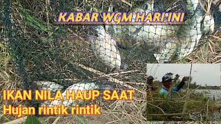 Download lagu IKAN NILA MAKAN SAAT HUJAN RINTIK RINTIK@ML-i3q mp3 Download lagu IKAN NILA MAKAN SAAT HUJAN RINTIK RINTIK@ML-i3q mp3