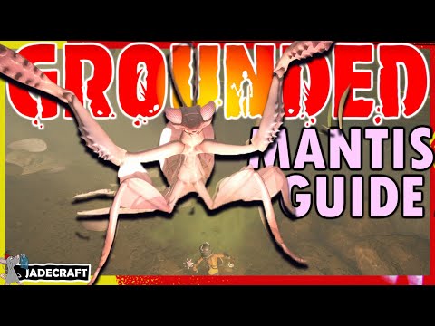 Praying Mantis Grounded