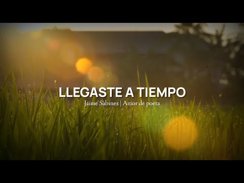 LLEGASTE A TIEMPO | Jaime Sabines // Video poema