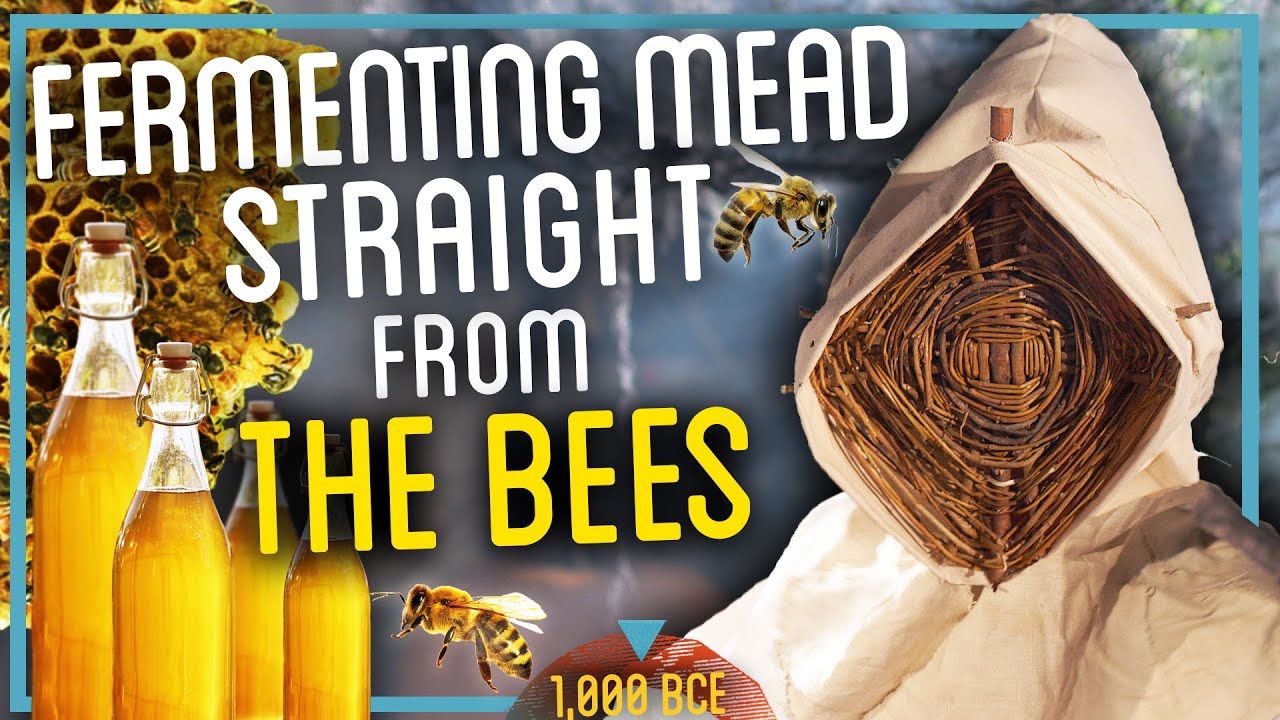 Fermenting Mead from ANCIENT Honey