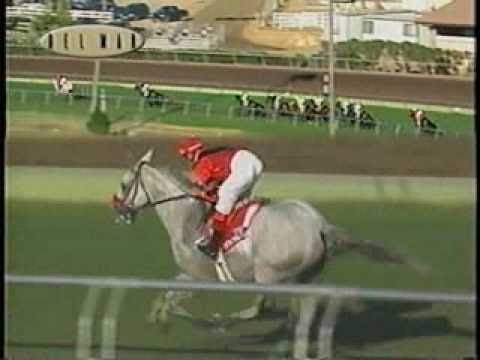 Gerson Racing- Star Over The Bay wins the G2 Del Mar Handicap 8-29-04