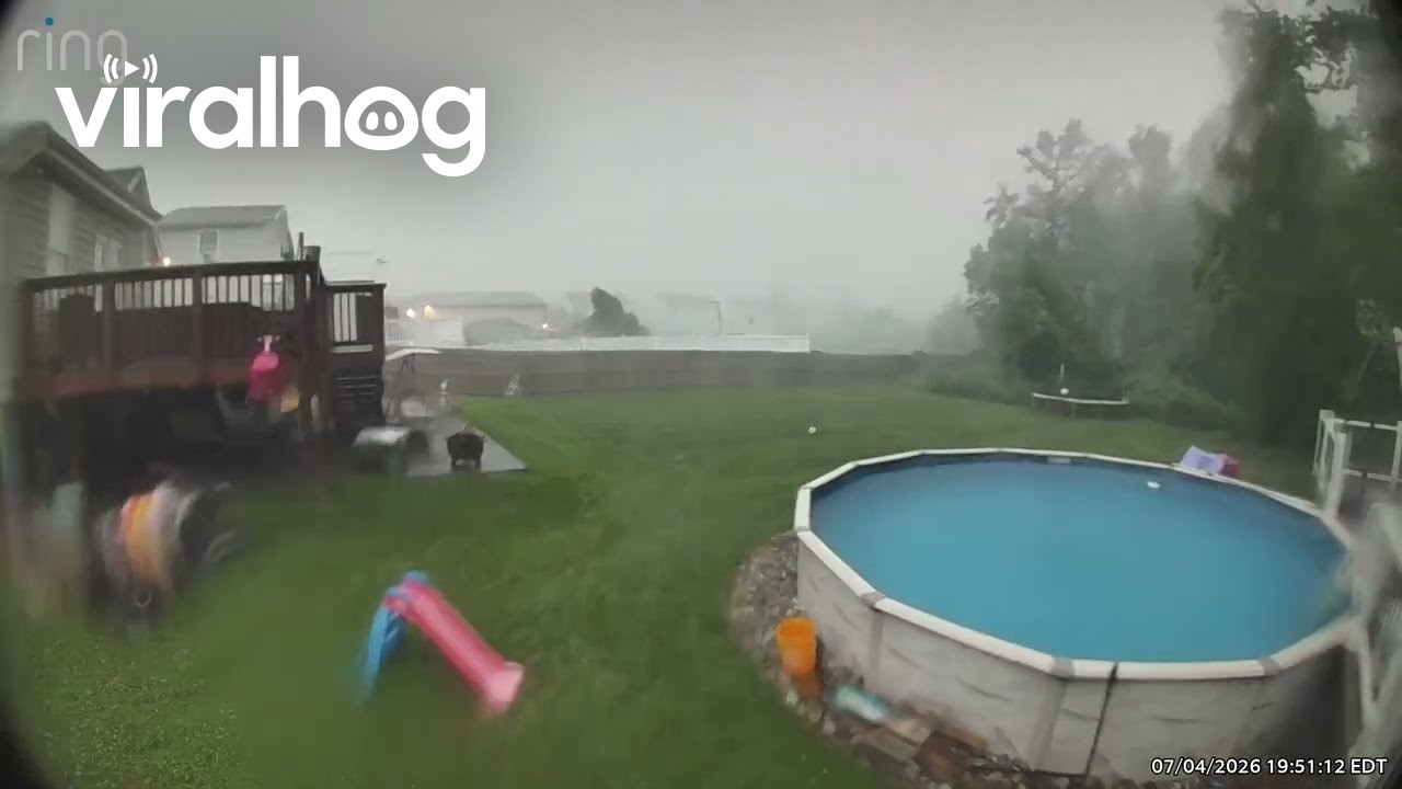 Well That's a Flying Trampoline || ViralHog