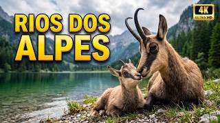 LAGOS ALPINOS | O Reino Selvagem Escondido Entre as Montanhas - Documentário