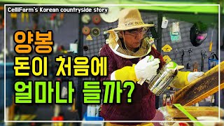 시골에 산다면 도전해보세요!  2024 첼리팜 야심작, 좌충우돌 벌키우기 도전! 쌩초보의 양봉 생활 시작