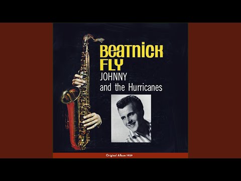 Beatnik Fly