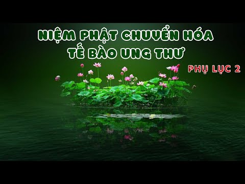 Niệm Phật Chuyển Hóa Tế Bào Ung Thư phần 6/8 - Phụ lục 2 - PS Đạo Chứng