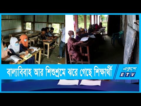 নোয়াখালীর চরাঞ্চলের স্কুলগুলোতে নেই শিক্ষার্থীর উপস্থিতি