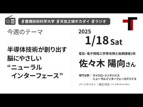 【音声】やしの実FM 天伯之城ギカダイ 2025/1/18【ラジオ】
