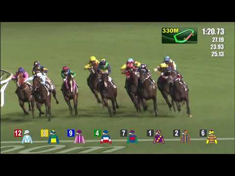 23/6/2021 (773) Fa Fa - Vincent Ho