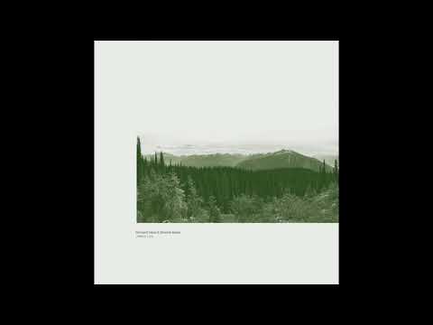 Formant Value & Simone Bauer - Veduta VIII (Original Mix)