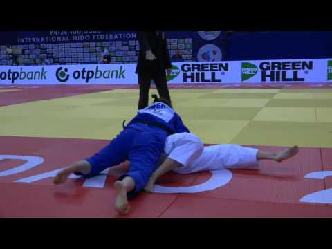 gp chn 2015  GER vs RUS Groundwork