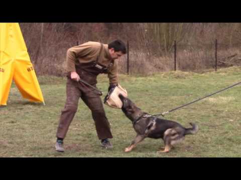 Marry Jane  z Jukasu - protection 9,5 months - 12/2016