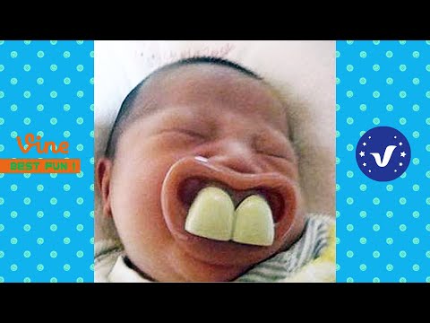 Funny & Hilarious Video People's Happy Life #18 ???? Try Not To Laugh Funny Videos 2024