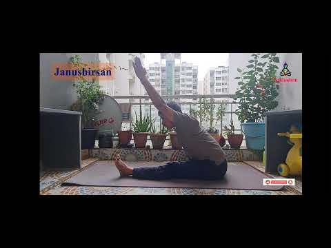 Janushirshasana (Head-to-Knee Pose) Made Easy: Step-by-Step Silent Demo