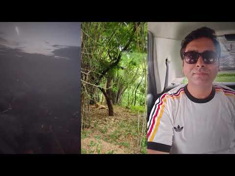 A Tiger Came Inches From Our Bus! Bannerghatta Safari &amp; Zoo 2026 — The Complete Bangalore Wildlife Guide
