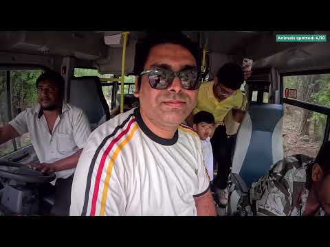 A Tiger Came Inches From Our Bus! Bannerghatta Safari &amp; Zoo 2026 — The Complete Bangalore Wildlife Guide