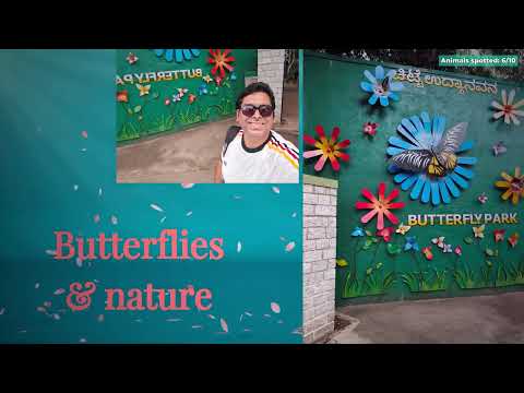 A Tiger Came Inches From Our Bus! Bannerghatta Safari &amp; Zoo 2026 — The Complete Bangalore Wildlife Guide