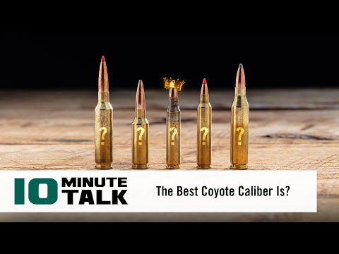 #10MinuteTalk - The Best Coyote Caliber Is?