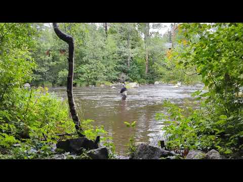 Some casting in Kungsådran, waiting for the bite!!