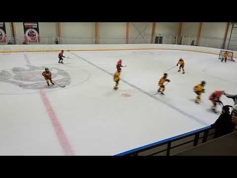 Hc Nokia Oranssit - Ilves Minnesota