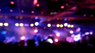 In My room Albert hammond Jr Webster hall