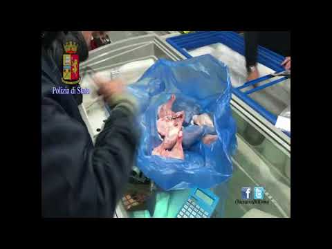 Roma, controlli di polizia e Asl: cibi non commestibili sequestrati, sanzioni e strutture ricettive