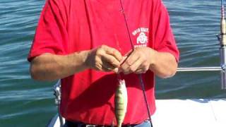 preview picture of video 'Lake Erie Perch Fishing'