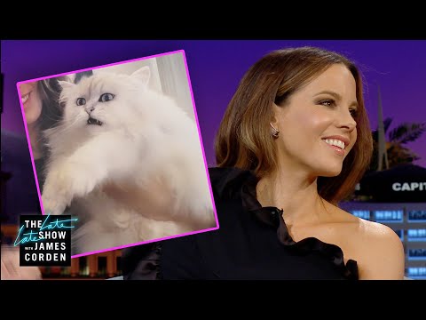 download lagu mp3 mp4 Kate Beckinsale Cat, download lagu Kate Beckinsale Cat gratis, unduh video klip Kate Beckinsale Cat