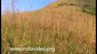 Ranipuram Hills, Kasaragod