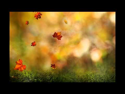 Gửi chút tình vương Sheet - Tân Thịnh