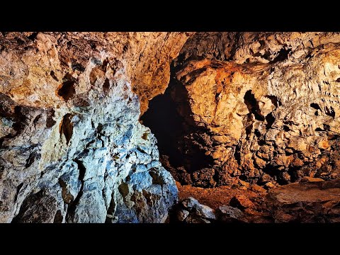 Bats in Polish cave of Jura