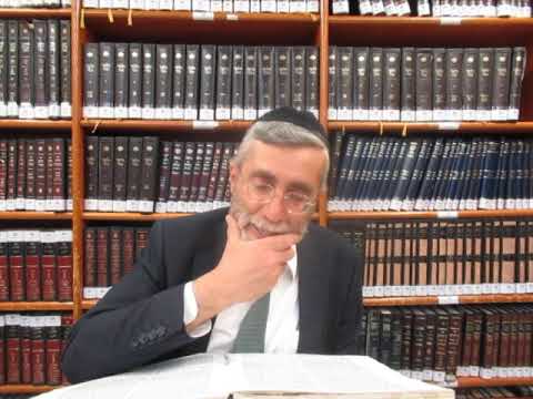 הרב יהושע ביבי - תשפ"ו - עמידה - שיעור מס' 205 -  ב' סיבות דו''ק דאמא לא דוחים הקטנויות
