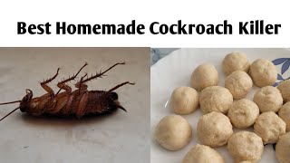 How To Kill Cockroaches Using Boric Powder | Safe and Effective Way to Kill Cockroaches | Works 100%