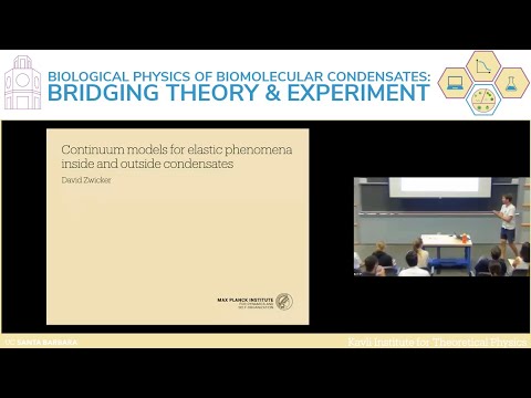 Continuum models for elastic phenomena inside and outside condensates | David Zwicker (MPI-DS)