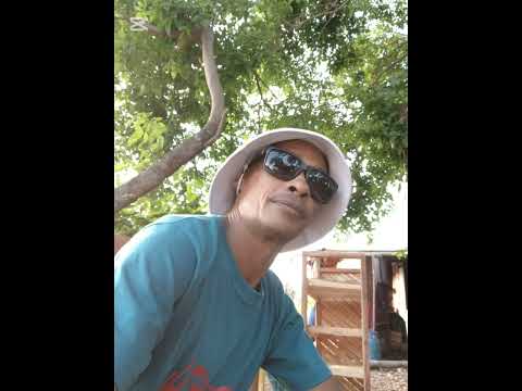 L'Amour Fleuri, Ti Killa