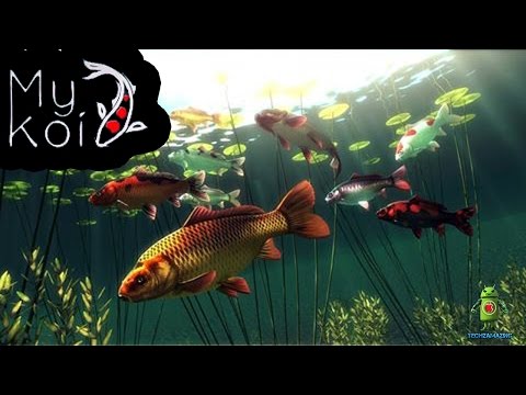 My Koi (iOS/Android) Gameplay HD - YouTube