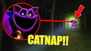 I Saw CATNAP IN REAL LIFE!! *Cursed Catnap*
