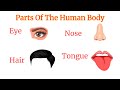 Parts Of Body Body Parts For Beginner Daily English English Vocabulary