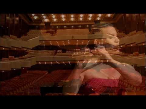 Anatomy of Sound: a workshop with Amy Porter: Trailer