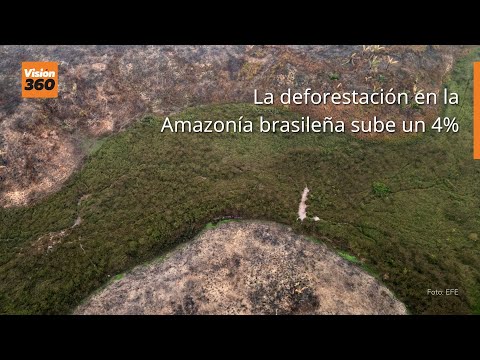 La deforestación en la Amazonía brasileña sube un 4%