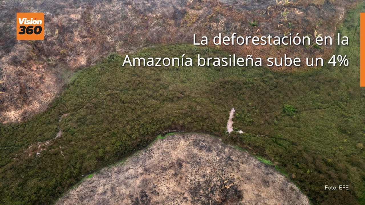 youtube video id=z8jdhI7Nlsg