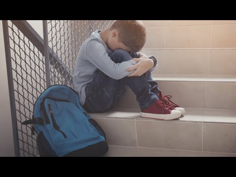 Link to Facing Bullying at School: Advice from the Experts video