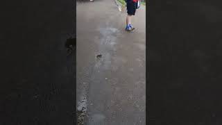 Playfair Steps 2 across to Scott Monument.