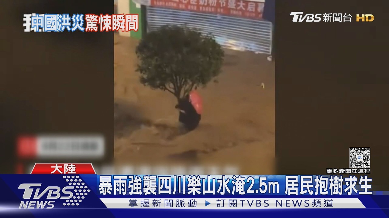 影音／四川暴雨狂襲！民眾死抱樹幹求生　身旁車輛雜物不斷漂過
