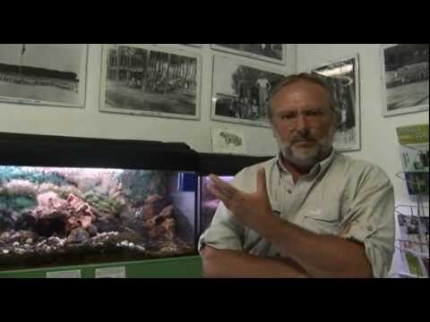 Acquedolci - Film documentario sul Grande Fiume - Po Fishing Center