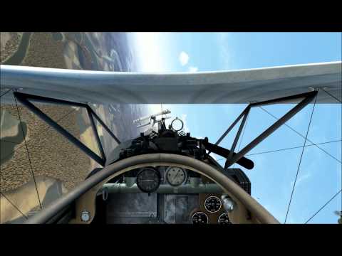 Rise of Flight - Albatros D.II