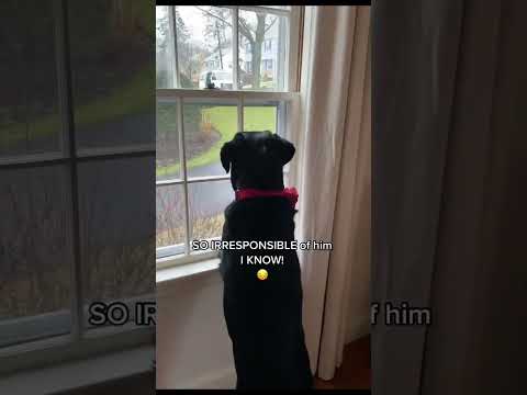 For ONCE King C isn’t the only one in the Dog House! 😅