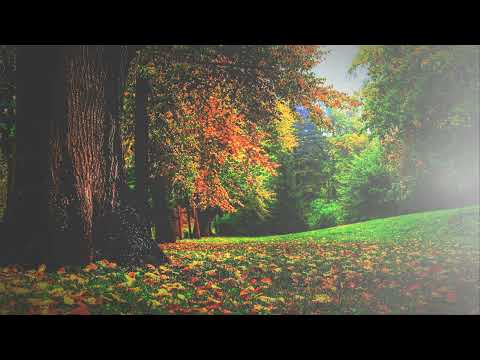 Sestre Mavrovski, Legnala Dana, zaspala