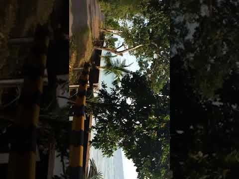 Havelock jetty to Kala pathar #Beach #shorts